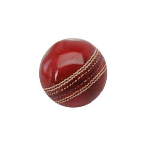 Cricket Ball