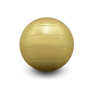 Volley Ball