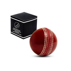 Cricket Ball
